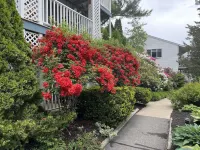 Quaint Ogunquit Condo 5 Min.Walk To Perkins Cove & Marginal Way