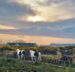 Modern, peaceful cottage with sea & mountain views Hotels in Ballycastle
