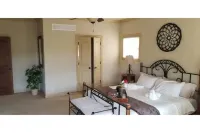Peaceful Oasis
