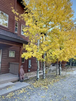 Cozy, 3-story, luxury cabin in the heart of Summerhaven! Hotels near Spencer Canyon Campground