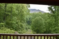 Secluded Mountain 4 Bedroom Cabin