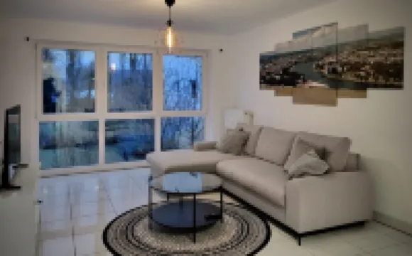 Beautiful and quiet apartment directly on the Moselle
