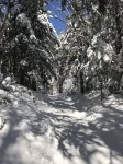 Rustic 60’s era Stowe ski camp.
