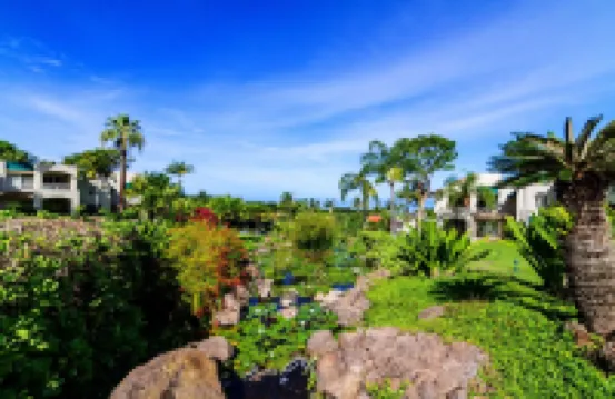 1206 The Palms-Wailea. Owner Direct. Car available.  The reviews say it all