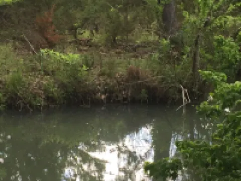 Little Cottage in the Woods スプリング・ブランチのホテル