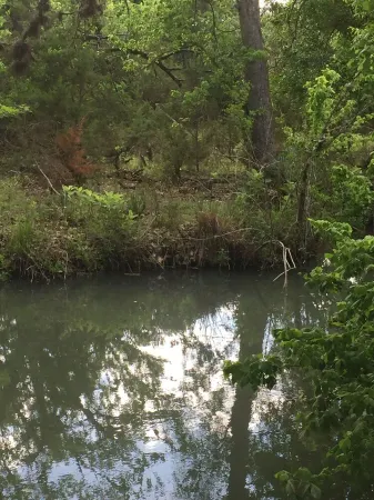 Little Cottage in the Woods Отели в г. Спринг Бранч