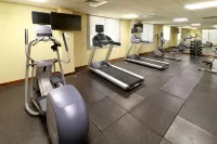 Holiday Inn 坦皮科阿爾塔米拉 - 健身室/gym room