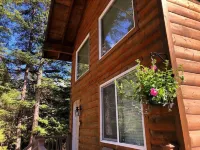 Aurora Skies Lodging - Private Cabin with Open Loft Bedroom - Sleeps 3-6