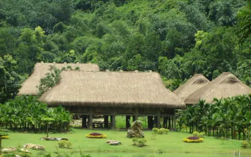 Tam Coc LiLy Homestay