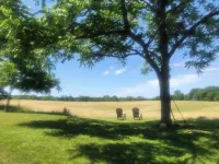 Relax & Refresh while enjoying the Simple Life of Amish Country - A Safe Haven