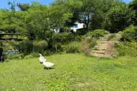 Gapyeong Daegajok Pension Hotels near Gang-Wondo