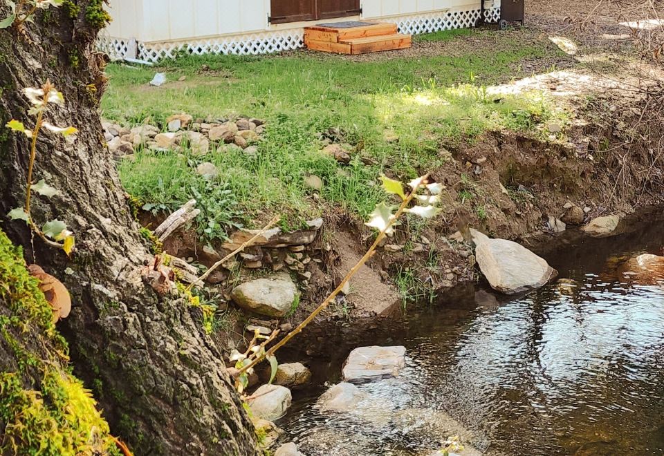 Gena's Sierra Inn 썸네일