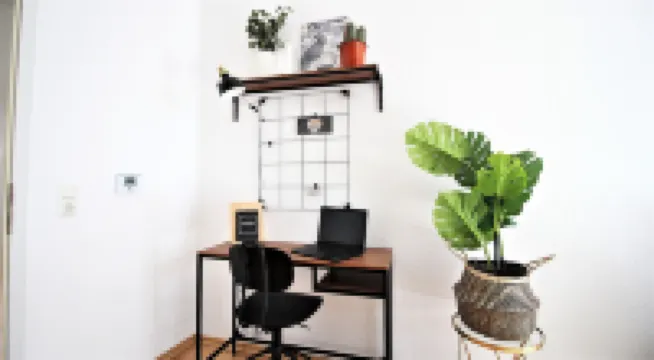 Homie Stay Schiestlstraße - Moderne Altbauapartments, Nahe Stadtzentrum & Weinberge