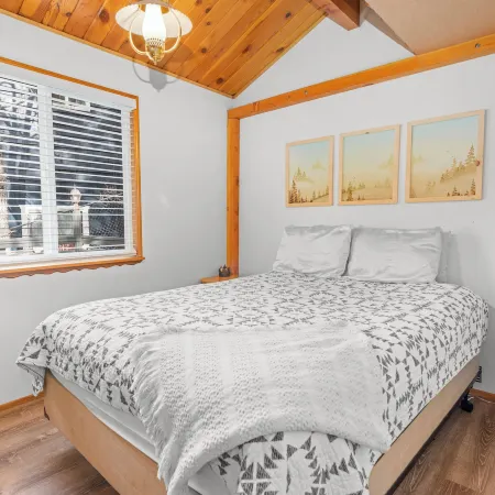 Dark Pine Retreat