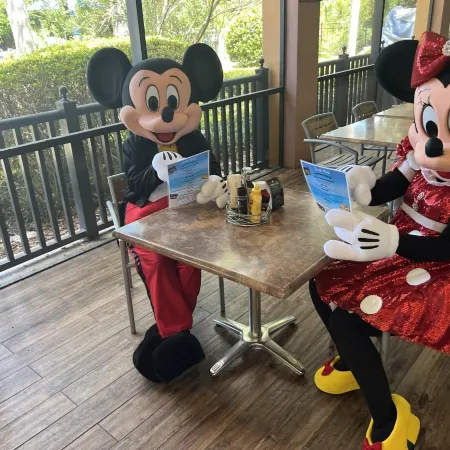 Disney Area Grnd Floor Park Free