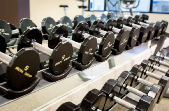 DoubleTree by Hilton Hotel & Suites Jersey City Отели рядом с достопримечательностью «Стейтью оф Либерти»