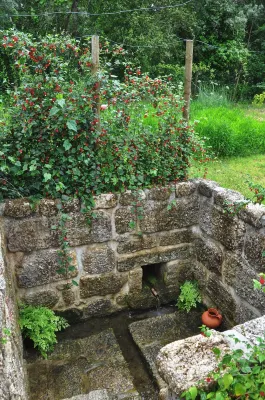 Room-Paradise is Real at Vale Martinho S