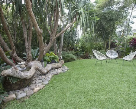 The Beach Havens - Haven Tropicana Hotels in Emerald Beach