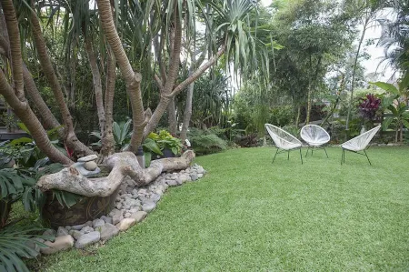 The Beach Havens - Haven Tropicana Отели в г. Эмералд Бич