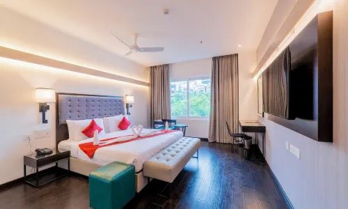 Hotel Deccan Serai Grande, Gachibowli, Hyderabad