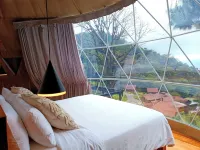 Tree Trek Boquete Adventure Park Các khách sạn ở Jaramillo