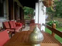Forest View B&B