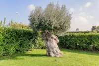 Villa Incanto Nel Blu by Wonderful Italy -  Casas de vacaciones