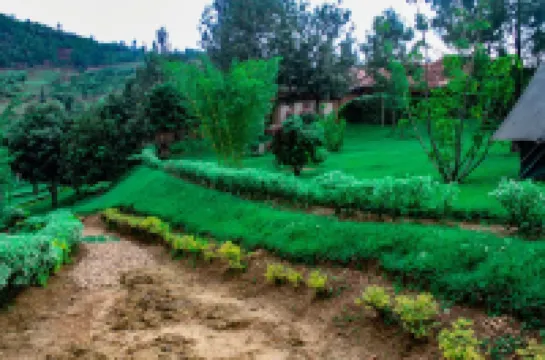 Ruhondo Beach Resort فنادق في 