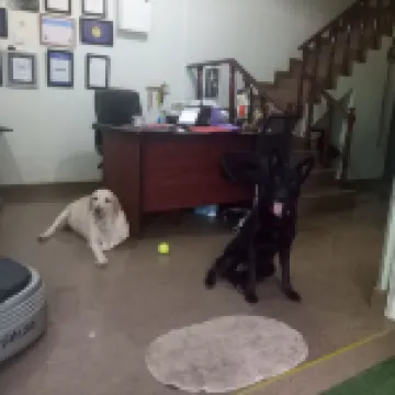 パームス ヴィラ