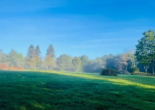 Lotus Family Suite w/ (2) Beds, Kitchenette #4
