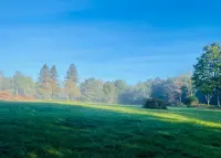 Lotus Family Suite w/ (2) Beds, Kitchenette #4