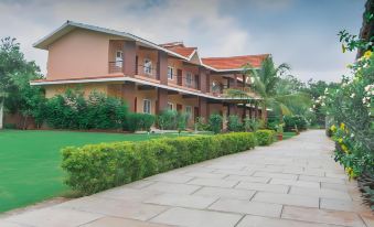 Dream Valley Resort