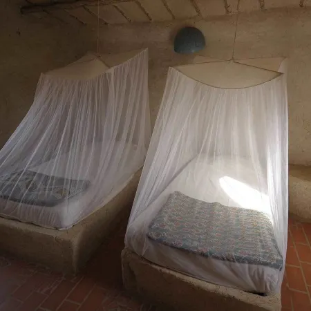 Ecolodge de Palmarin