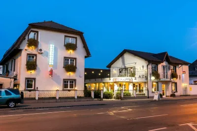 Pensiunea Luiza Hotel a 