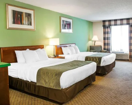 Comfort Inn Hotels in Goshen