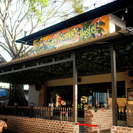 Bad Monkey Hostel