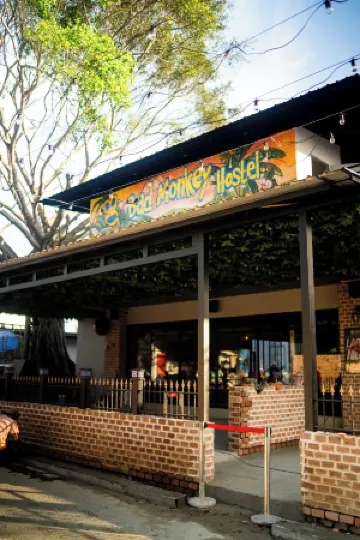 Bad Monkey Hostel