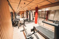 瑞士阿爾卑斯山奧安林酒店 - SPA