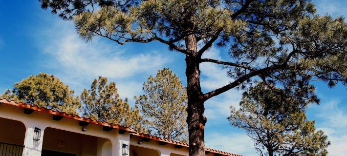 El Verde Inn Hotels in Albuquerque