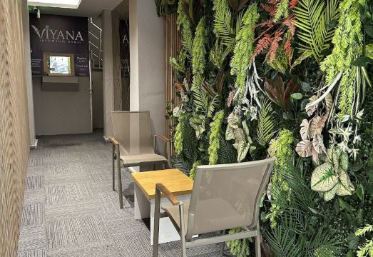 비야나 프리미엄 판시욘