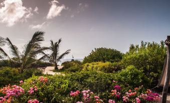 The Charming Lonno Lodge Watamu