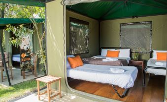 Roar and Snore at Taronga Zoo Sydney