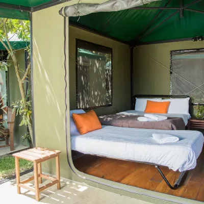 Roar and Snore at Taronga Zoo Sydney Hotels near Taronga Zoo