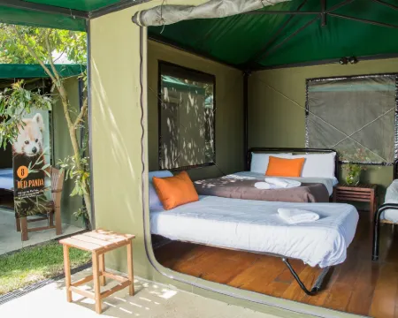 ロアー アンド スノア アット タロンガ ズー シドニー モスマンのホテル