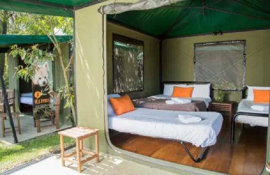 Roar and Snore at Taronga Zoo Sydney Hotels near Taronga Zoo