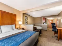 Comfort Inn & Suites Airport-American Way Hôtels à proximité de : Jardin botanique de Memphis