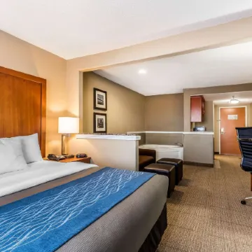 Comfort Inn & Suites Airport-American Way