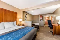 Comfort Inn & Suites Airport-American Way Hotels in Shelby County