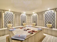 Four Sides Taksim Lion Hotel&Spa Hotels near Talimhane