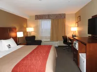 Comfort Inn & Suites Hotels in Langley